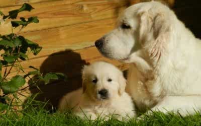 «Futura Mamá» Cuidados antes, durante el embarazo y después del parto