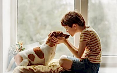 APRENDE A ELEGIR TU MASCOTA IDEAL