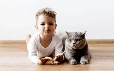 BENEFICIOS DE QUE LOS NIÑOS CREZCAN CON MASCOTAS