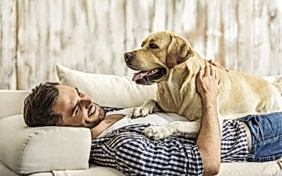 ¿Es posible convivir con una mascota si eres alérgico?