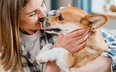 Los Celos en los Perros: Comprendiendo los signos y cómo manejarlos