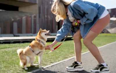 Por qué es mejor usar un arnés en lugar de un collar para tu perro?
